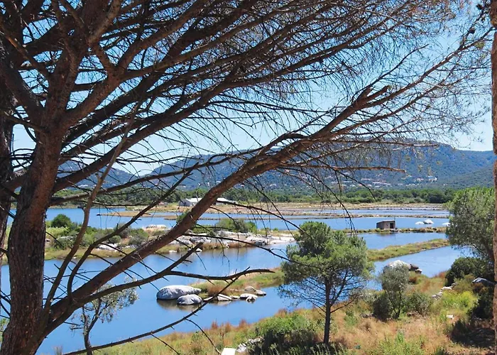 In Corsica Near Palombaggia